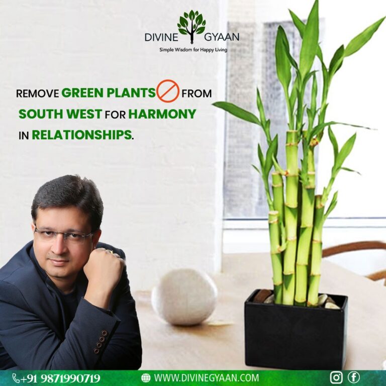 WhatsApp Image 2021 04 02 at 14.40.12 2 2 768x768