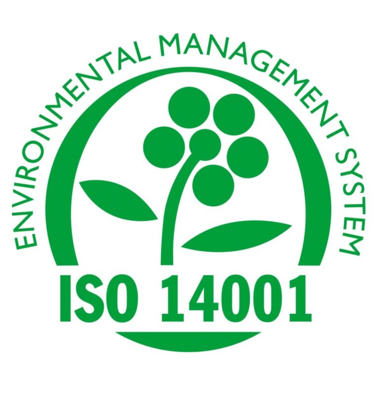 ISO 14001 2015 768x824