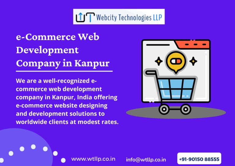 e Commerce Web Development Company in Kanpur 768x543