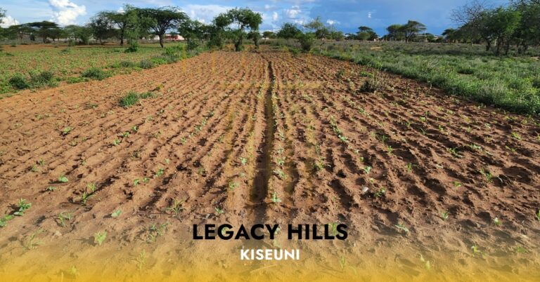 Legacy Hills – Kiseuni 768x402