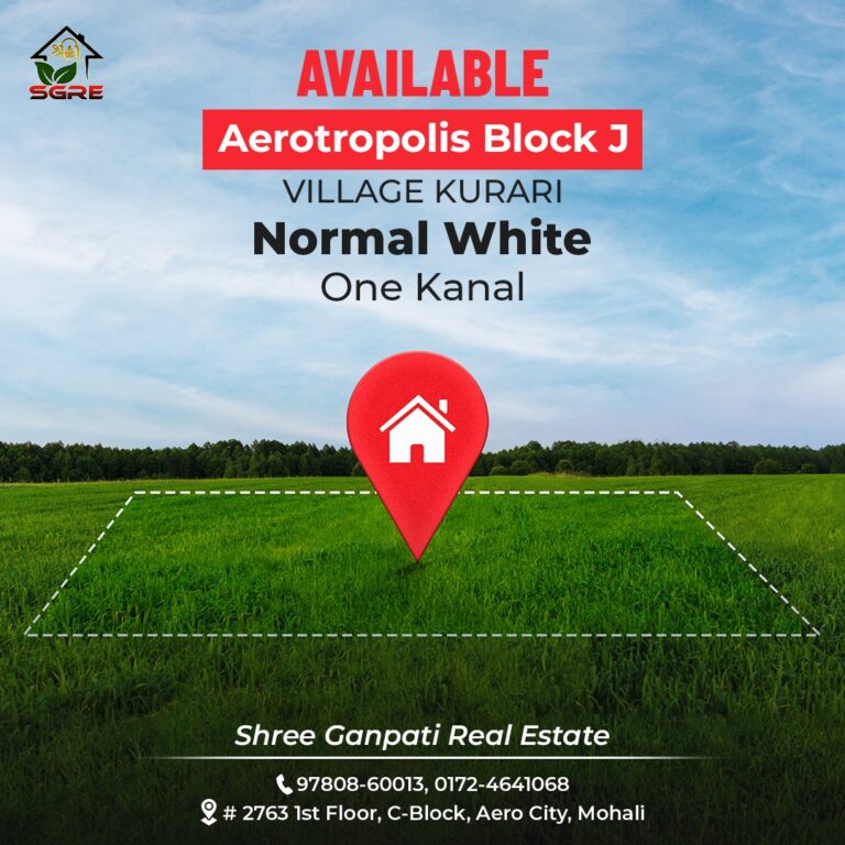 Shree Ganpati Real Estate Mohali Aerocity 768x768