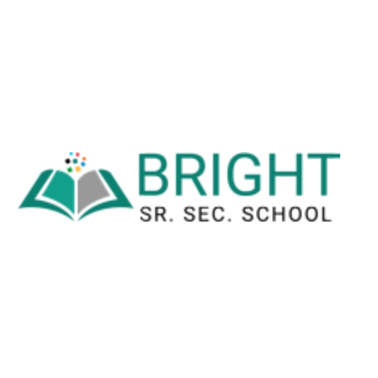 Bright School logo Square