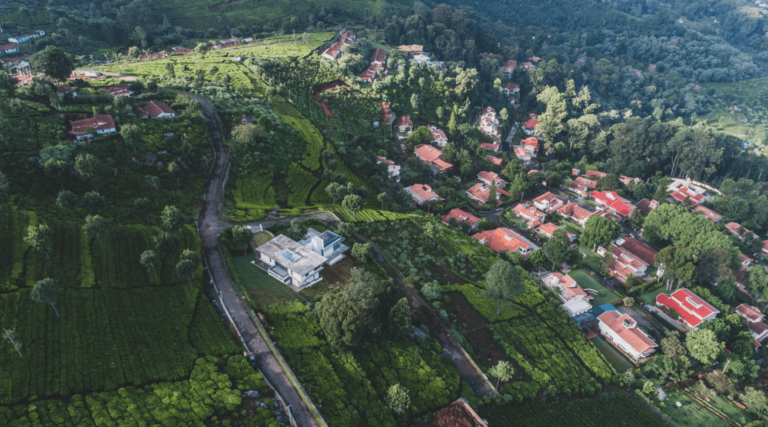 Coonoor Info 4 768x427