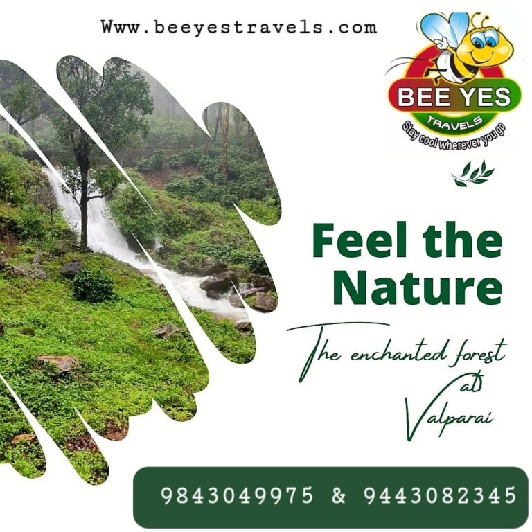 Valparai Tour Package