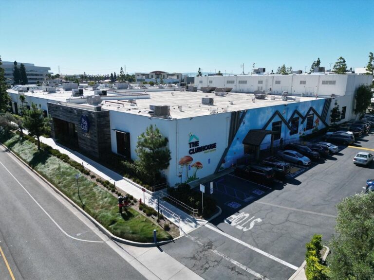 11 2023 12 13T121508.268 768x576