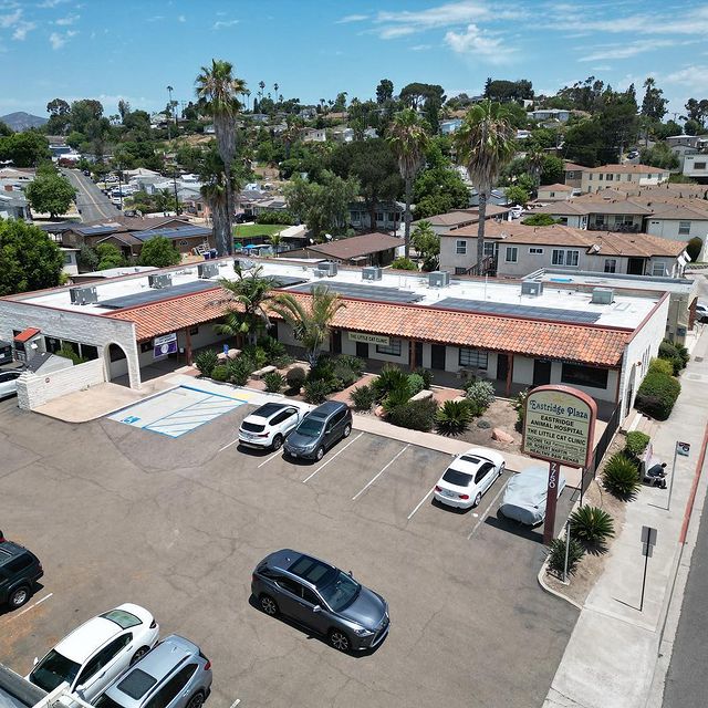 11 2023 12 13T121515.375