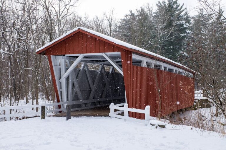 11 2024 03 04T123600.071 1 768x512