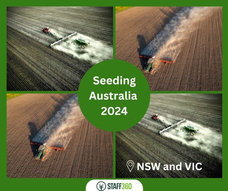 Discover the Adventure Backpacker Jobs in Australia 768x644