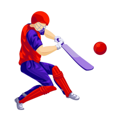 cricket live score api provides