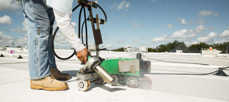 serivces main1 768x342