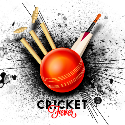 cricket API solutions