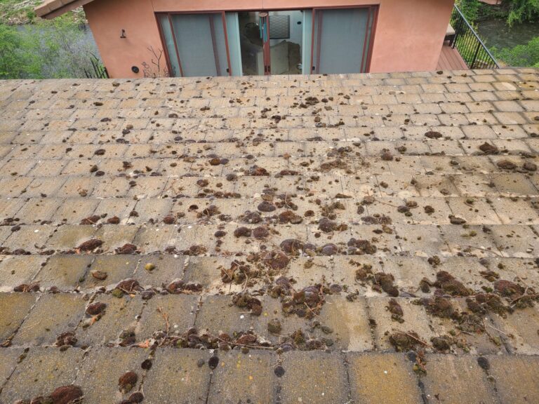 Before Roof Soft Wash 2048x1536 1 768x576