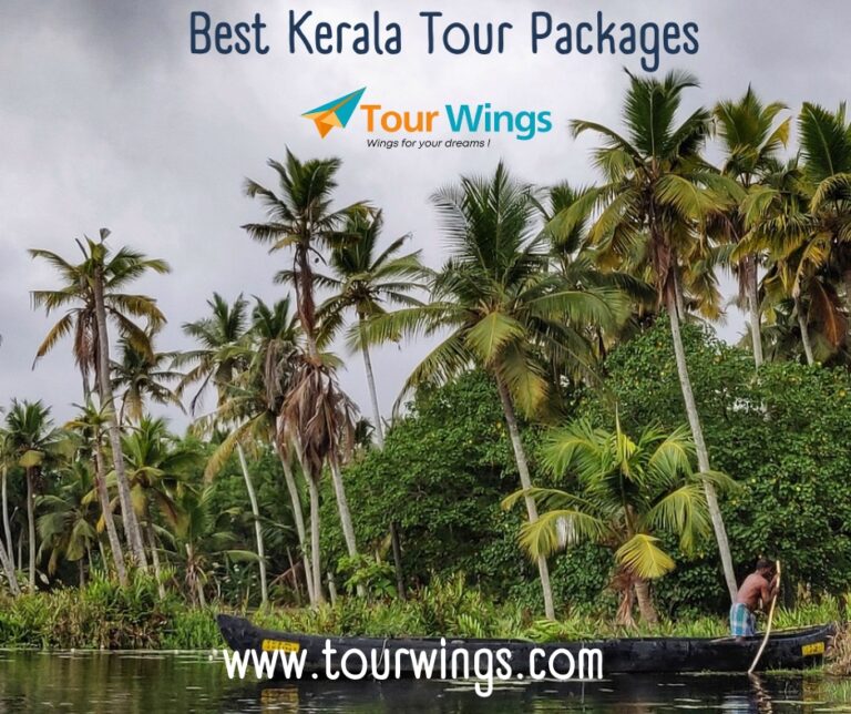 Best Kerala Tour Packages 768x644