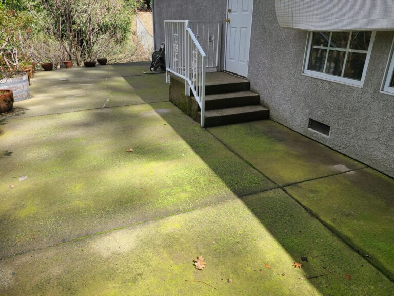 before pressure wash 1 2048x1536 1 768x576