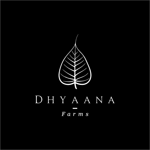 Dhyaana Farms Luxury Boutique Farmstays