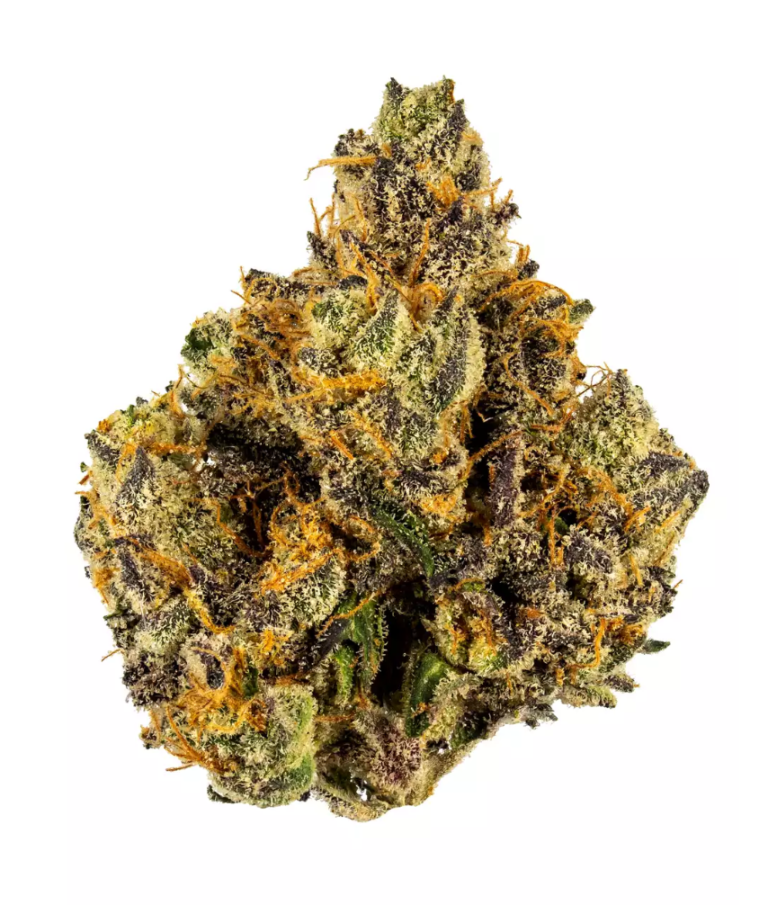 Mango OG Hybrid AA Weed Strain 768x905