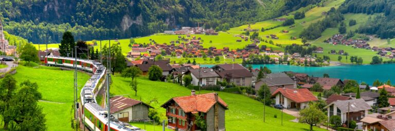 Untitled design 61 768x256