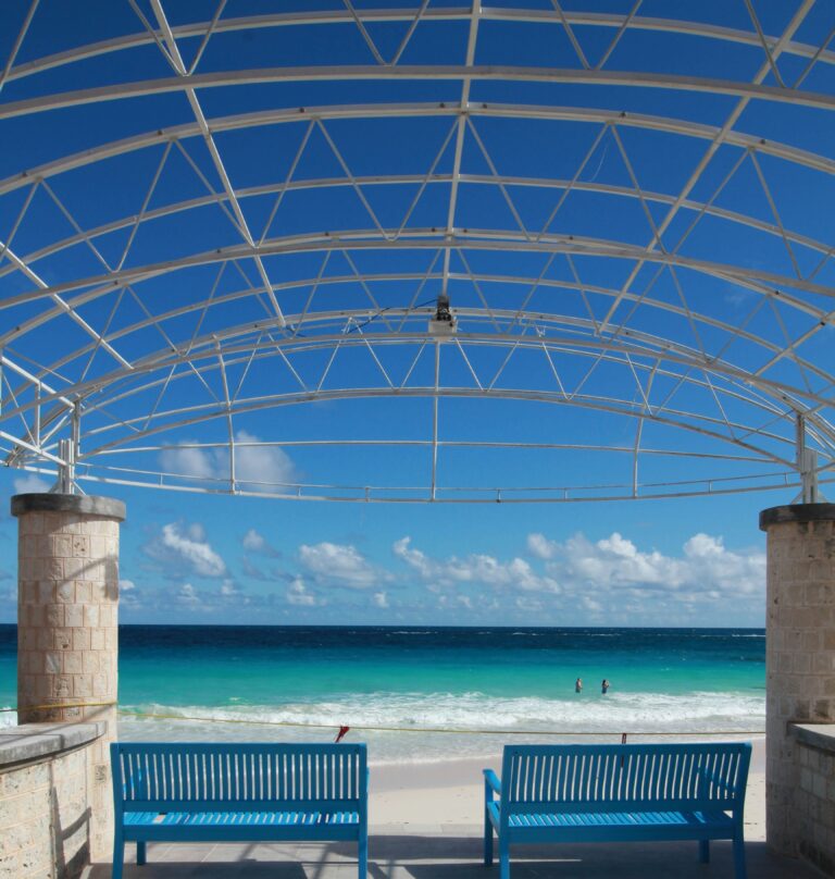 anushree deshpande VmtiK8n965A unsplash 768x808