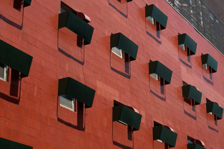 buddy photo MfAuQkHdR5U unsplash 768x512