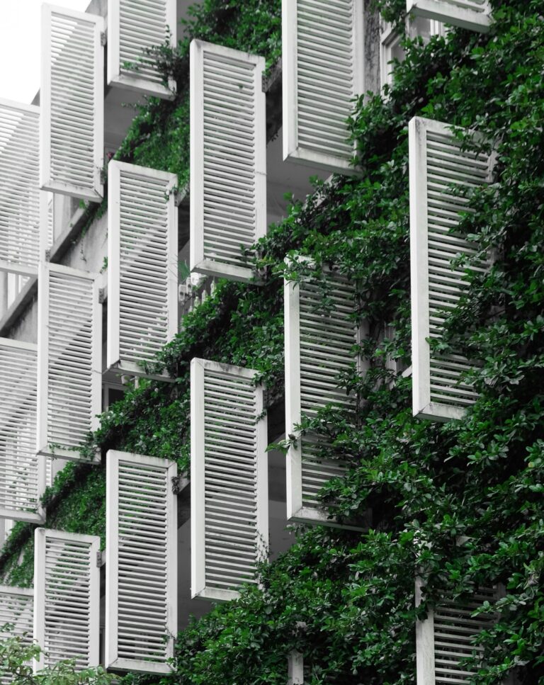 henry co sRfNDjsron0 unsplash 768x967