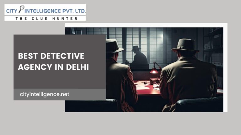 Best Detective Agency in Delhi Banner 1 768x432