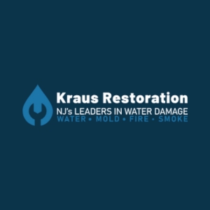 Kraus Restoration 1
