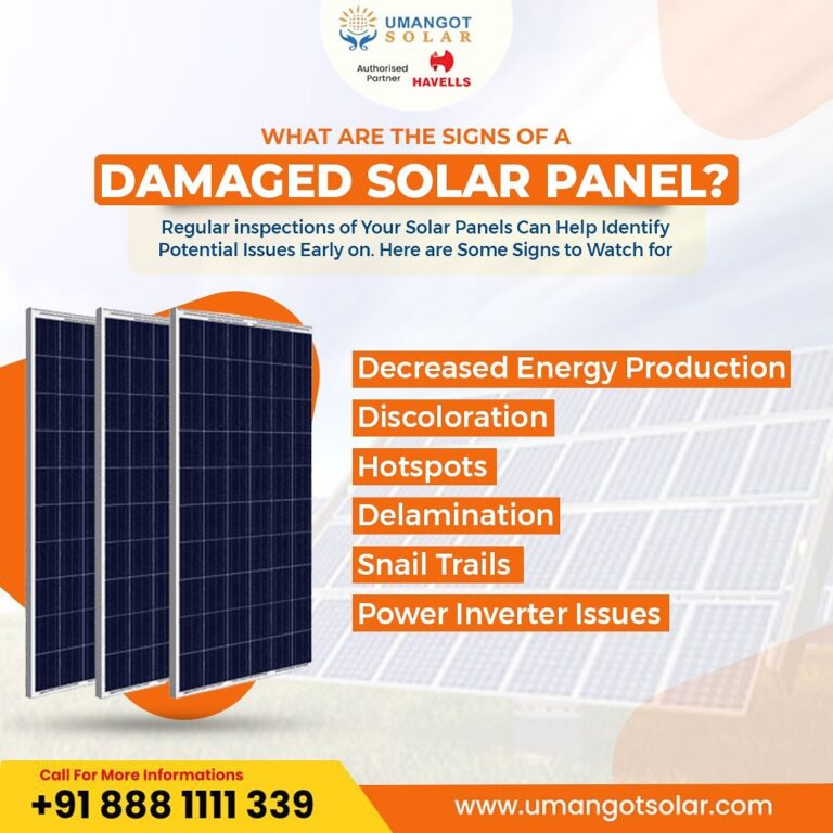 umangot solar 1738752305 3561234912808100748 52258804730 768x768