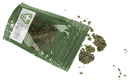 12de6423 ebdc 4e85 8f9a 081c4a5f7a7f