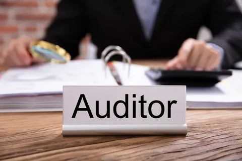 Auditor