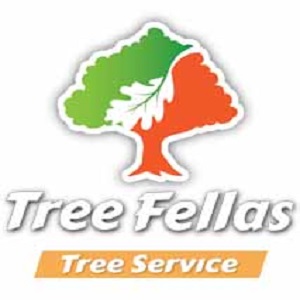 Tree Fellas Logo 1