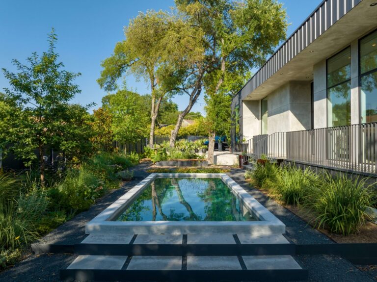 b3a027e0 b552 4e25 9f40 caaf728d7096 768x575