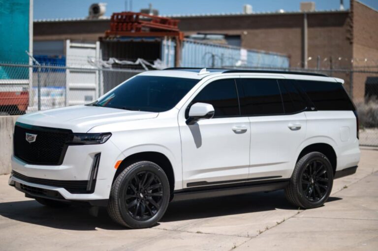 bc0b8206 0c29 404a a202 1b55bcddfbda 768x511