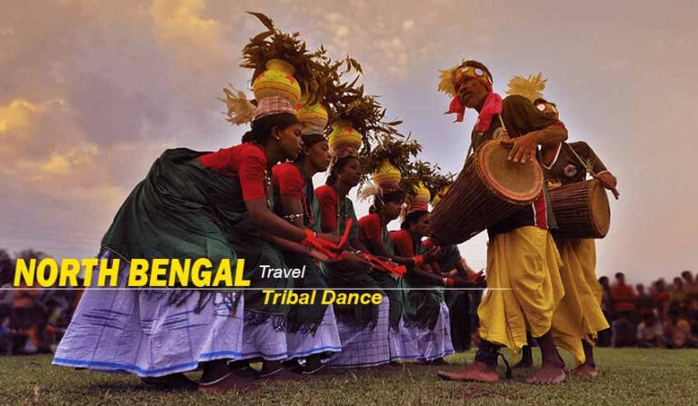 north bengal tour package from kolkata 768x447