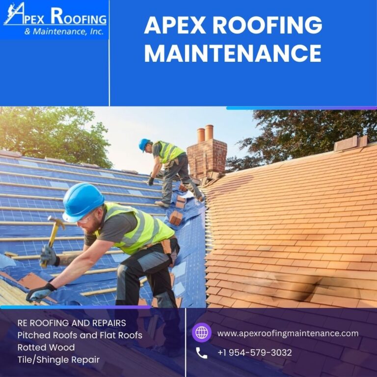 Apex Roofing Maintenance 9 768x768