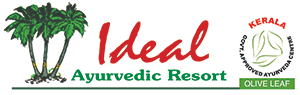 logo 13