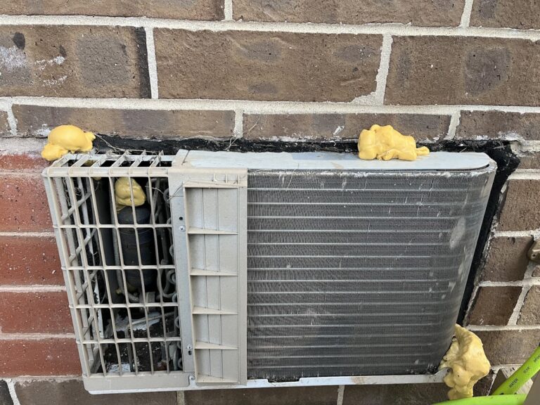 2024 12 29 1 768x576