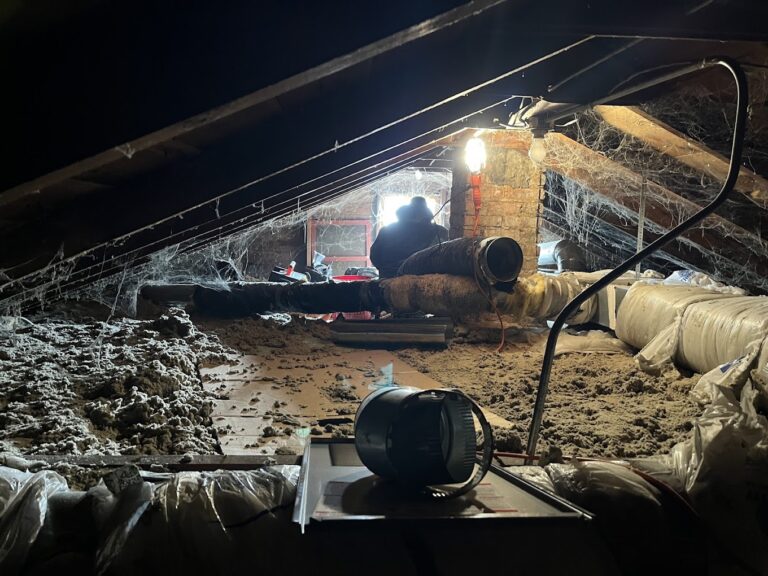 2024 12 29 4 768x576