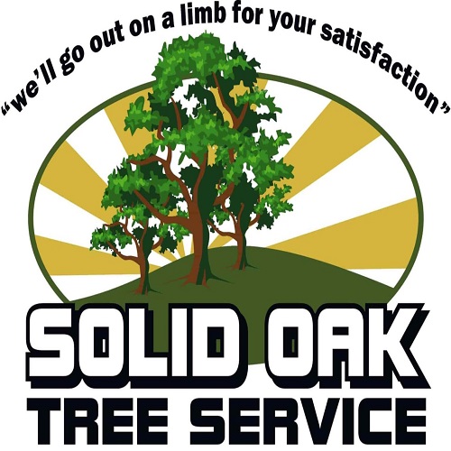 Solid Oak Tree Service Logo 1536x1039 1