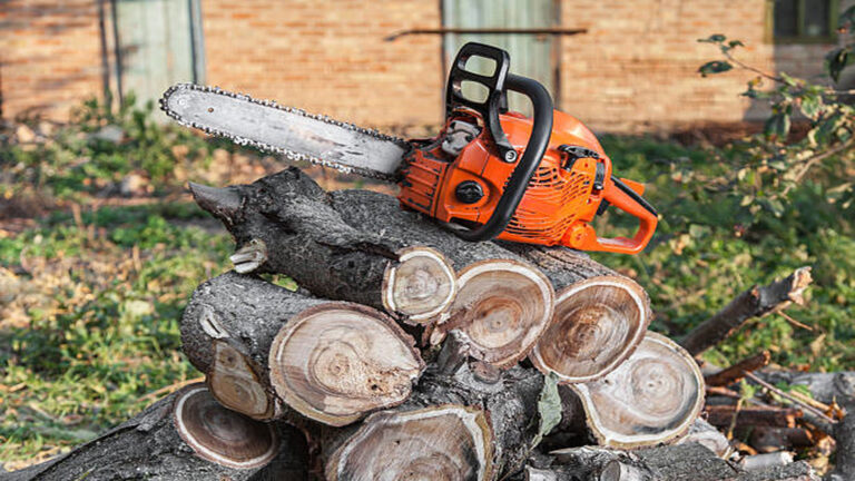 Top rated tree service near va 1920x1080 768x432