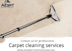 carpet cleaning services st albert carpet cleaning 1
