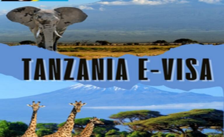 tanzania evisa 770x470 768x469