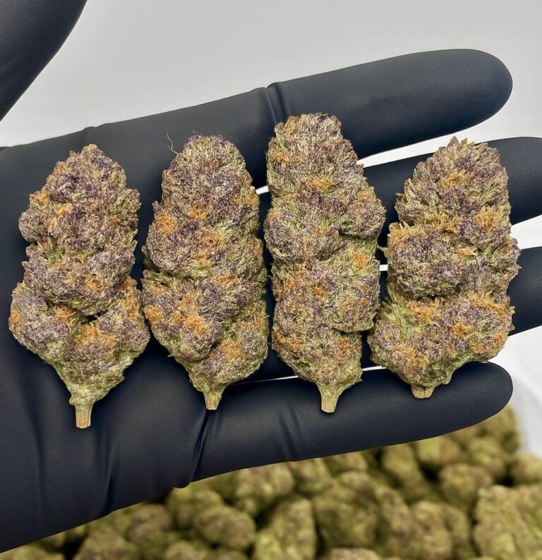 36d67c4d 361c 4218 b5dc 9c34f249f677 Copy 1 768x794