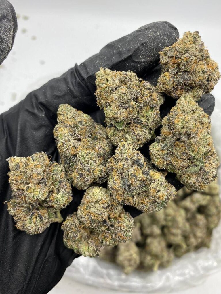 7f3a1e7f f299 4326 9d84 b51a1a5c8c56 768x1024