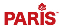 Paris world logo