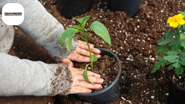 Untitled design 46 768x432