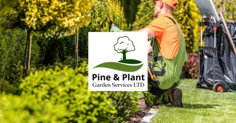 WhatsApp Image 2025 07 27 at 13.52.16 6c5c7acc 768x402