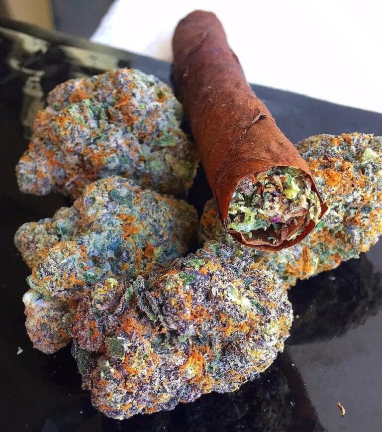 c6707ddf 504d 452f ab50 70e6e2184636 1 768x868