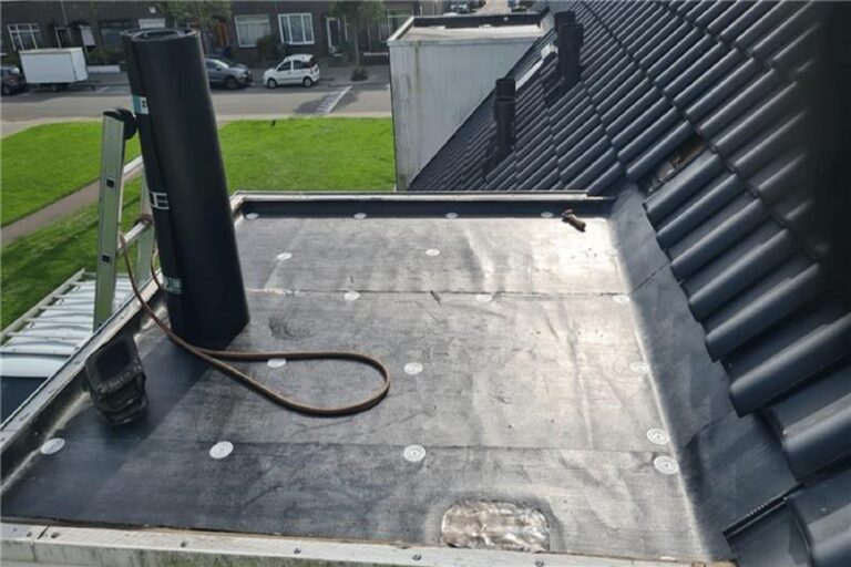 dakdekkerarnhemvanleeuwen.nl  768x512