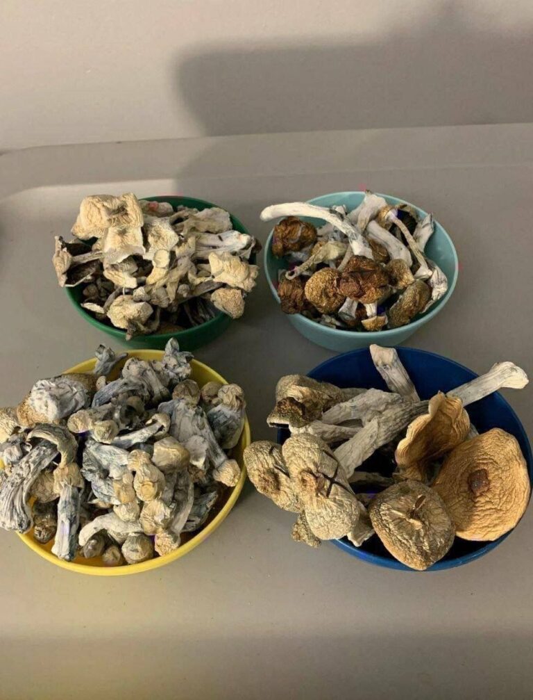 photo 2025 07 01 21 13 09 768x1007