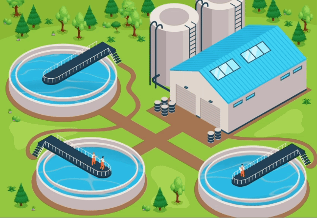 660a5ae7318bdc118b5ca6f0 STP website animation 2